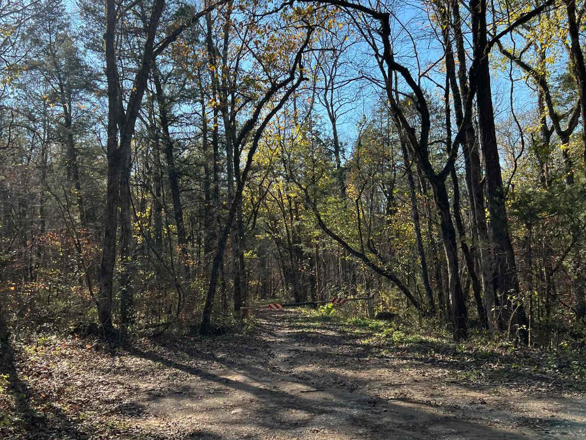 Northwest Road - FS 208 EA photo 2