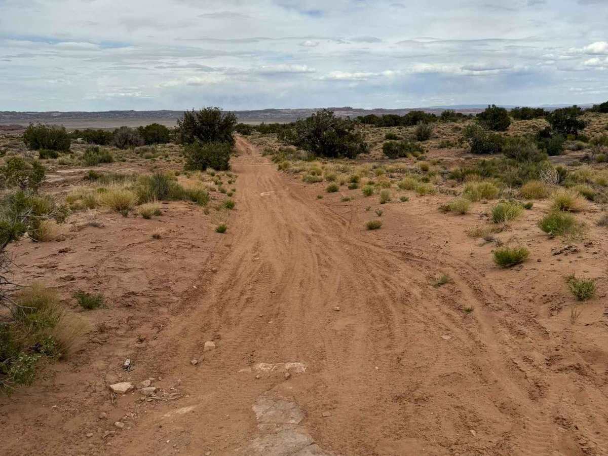 Juniper Trail photo 4