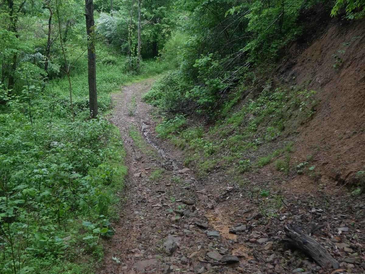CC69 trail photo