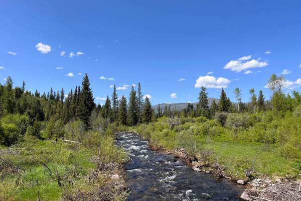 Gold Creek to 7 Mile Bridge