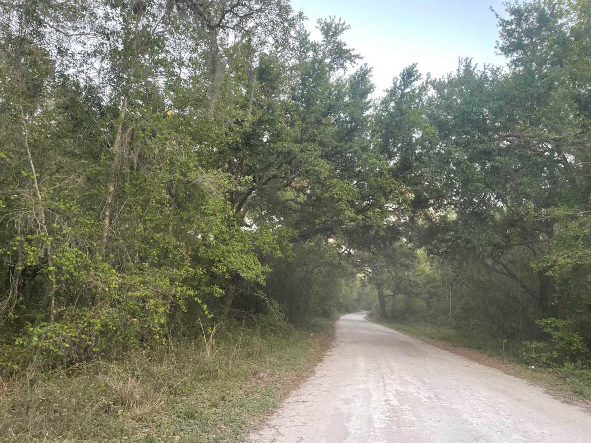 Richloam Wildlife Area: Center Grade Road trail photo