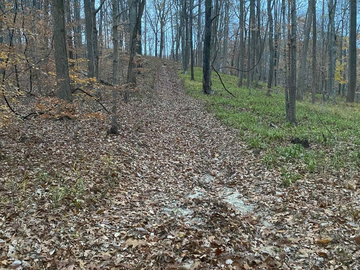 Turkey Trot FSR 627/643 photo 5