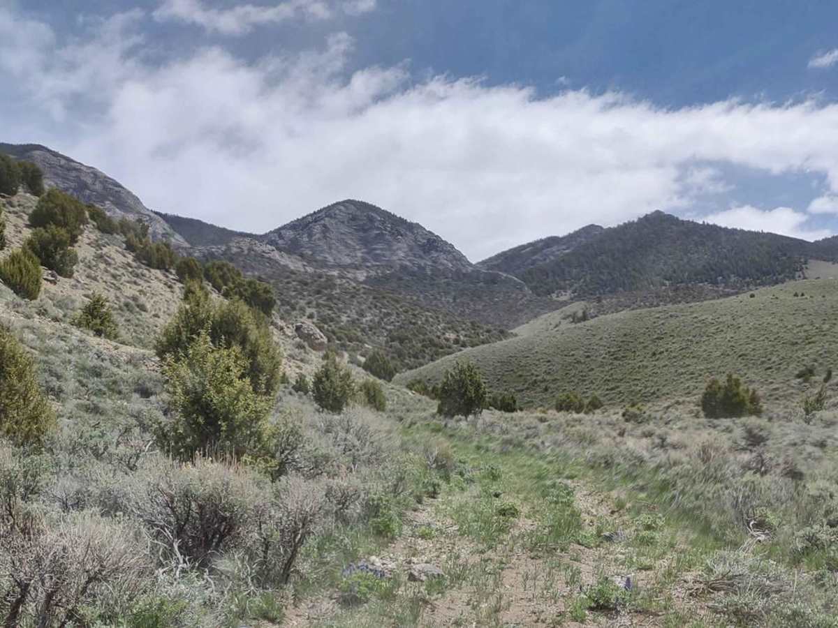 Arco Pass to Horsethief Spur #5 trail photo