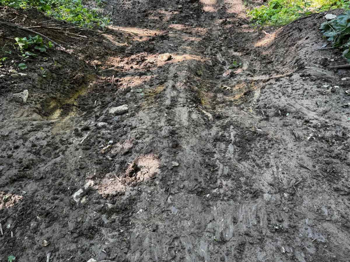 Murfee's Run 208 photo 2