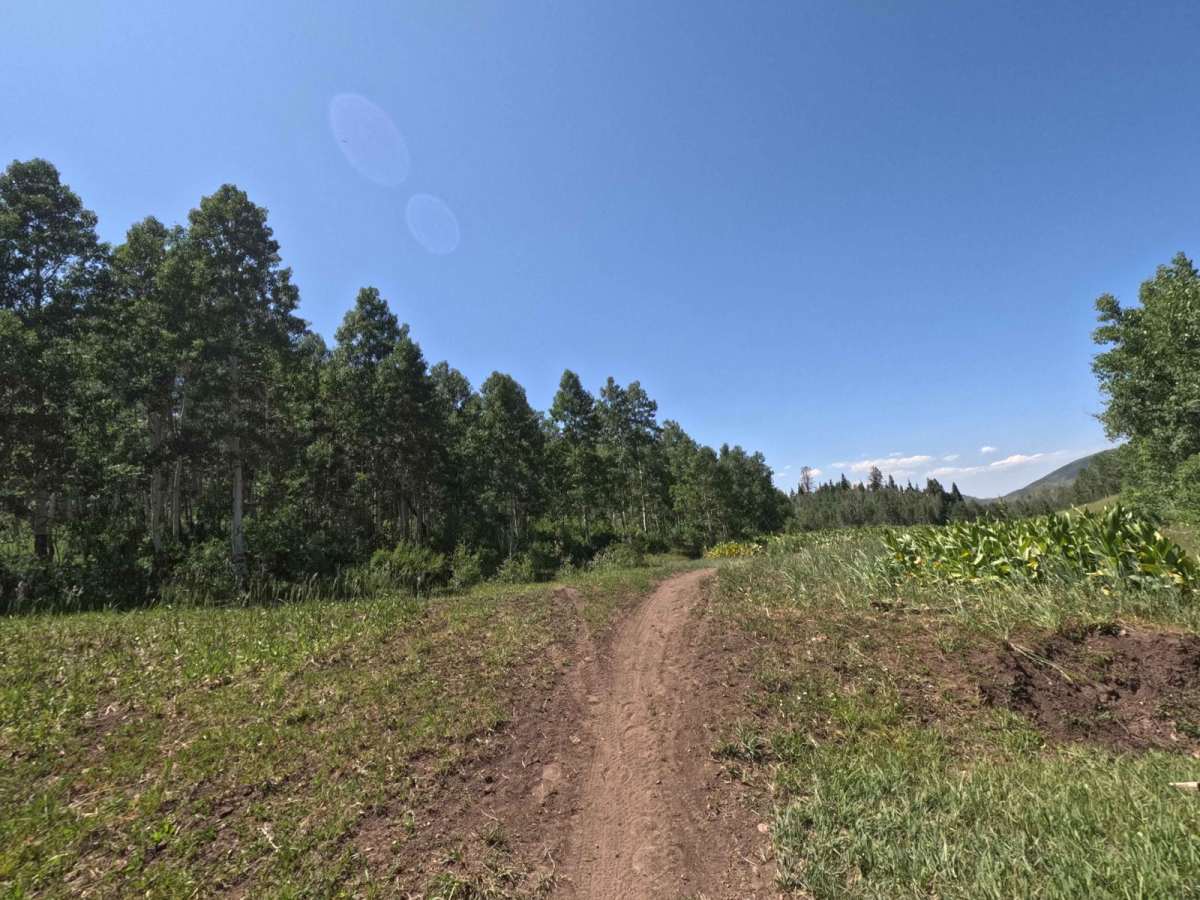 Jones Ranch North - FS 8123 photo 6