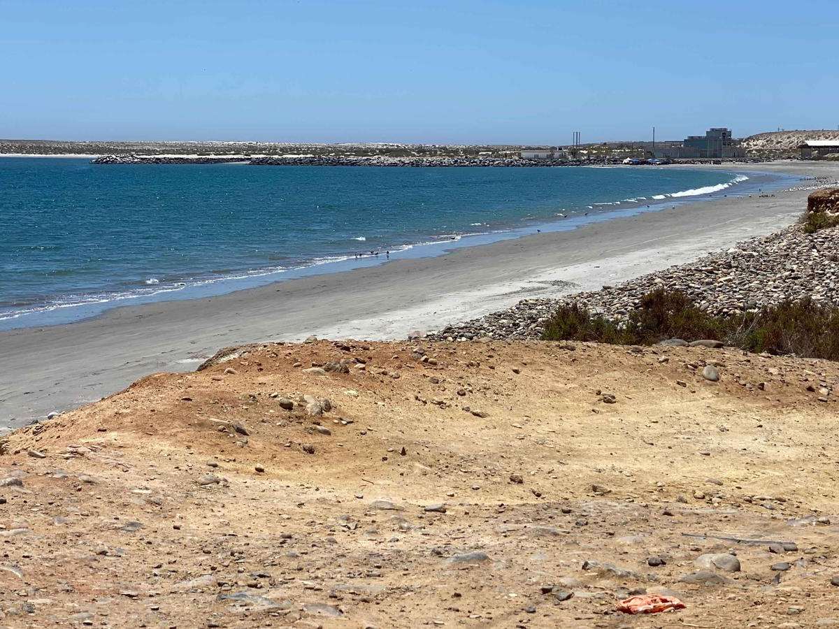 Santa Rosaliita Coastal photo 5