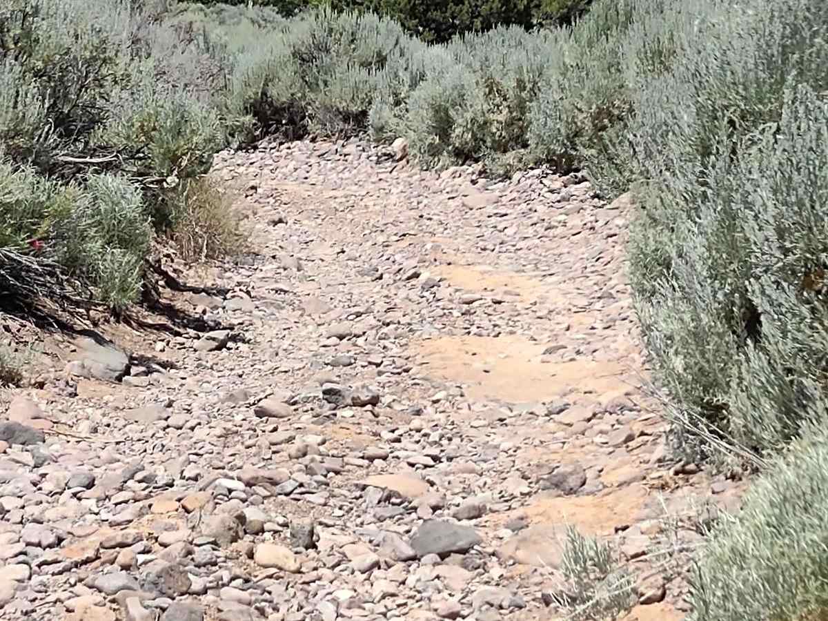 City Creek Canyon (FS# 40133) photo 5