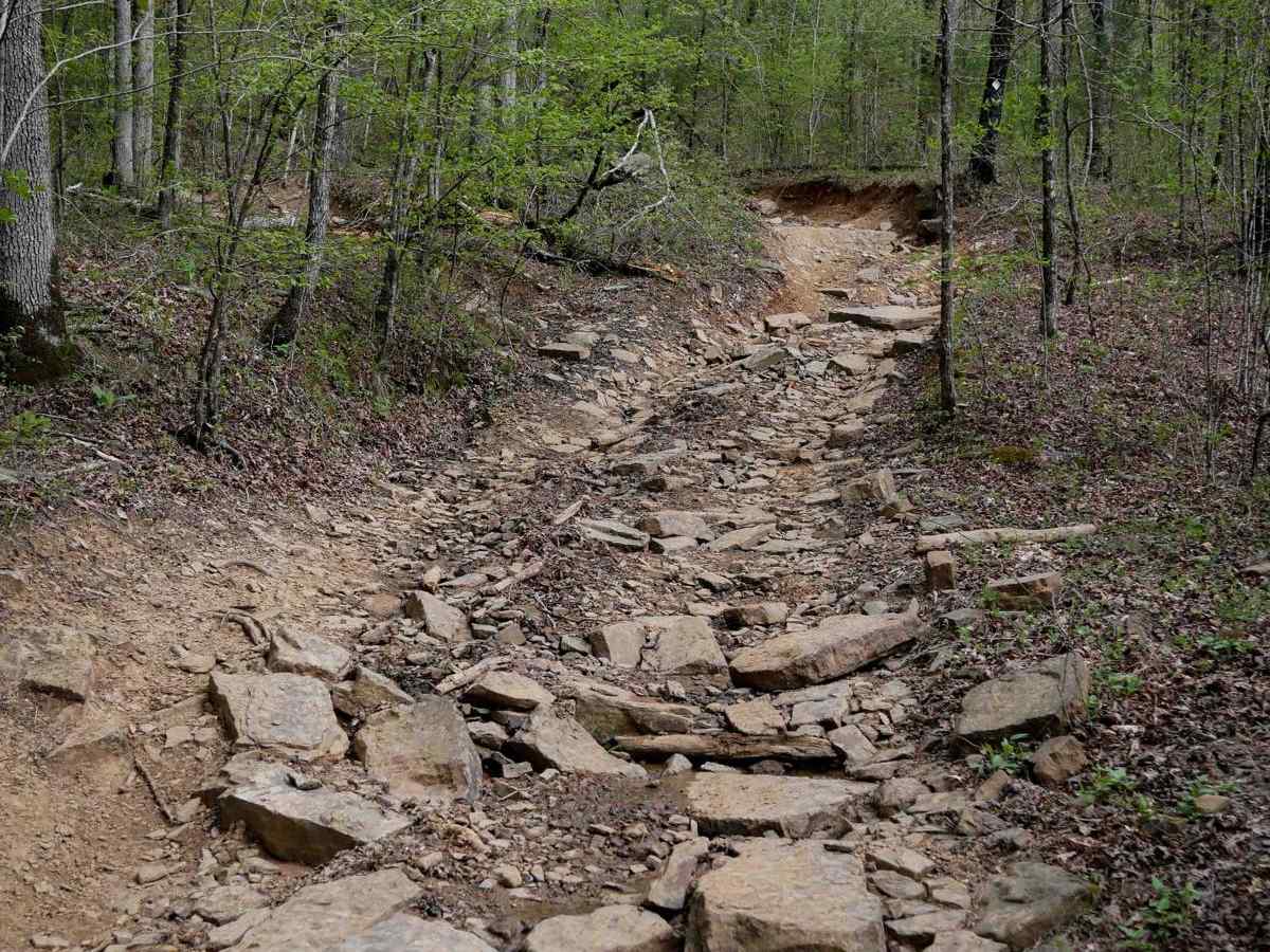 Black Oak Ridge Spur Northwest photo 4