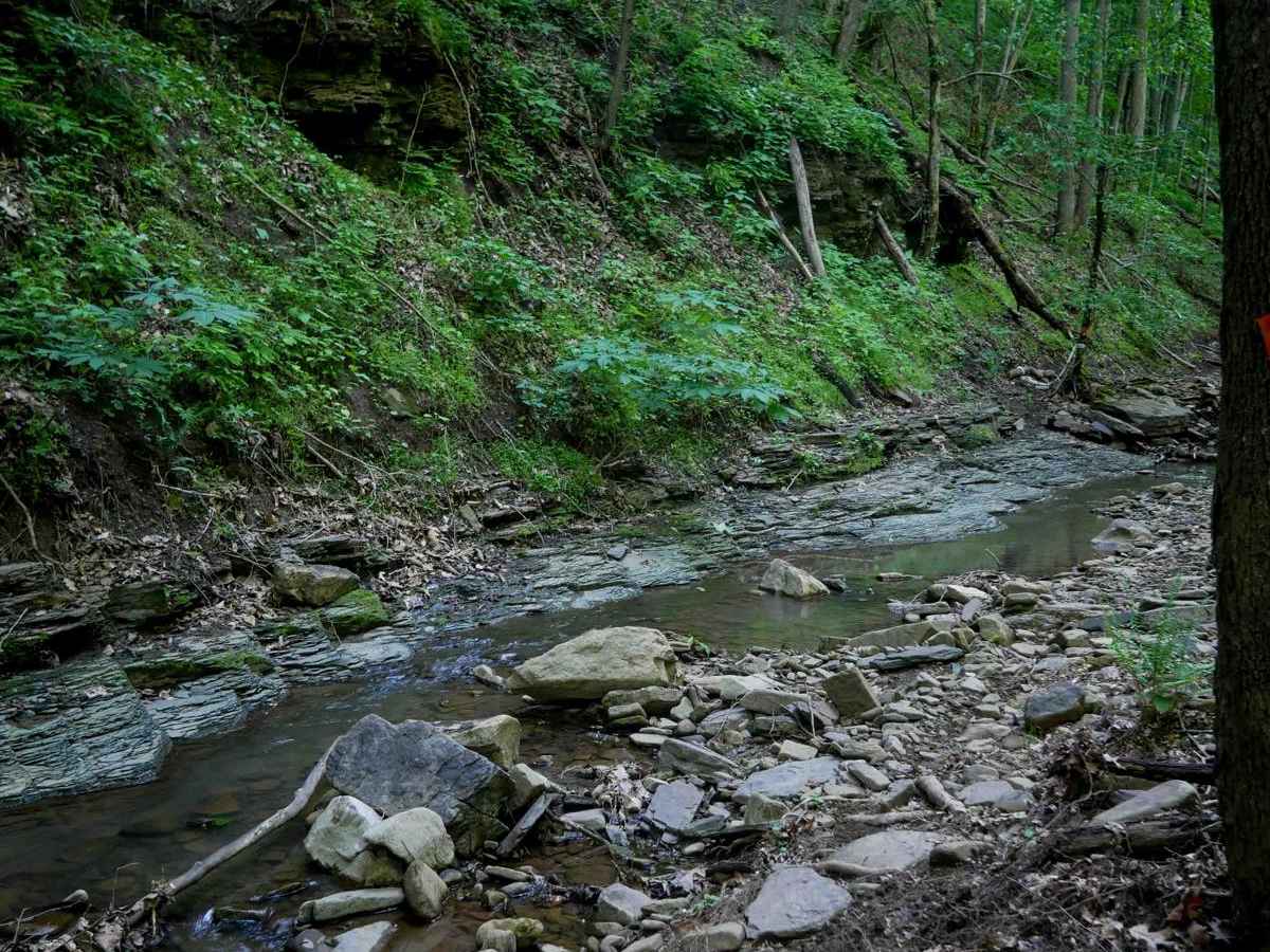 Waterfall Trail photo 2