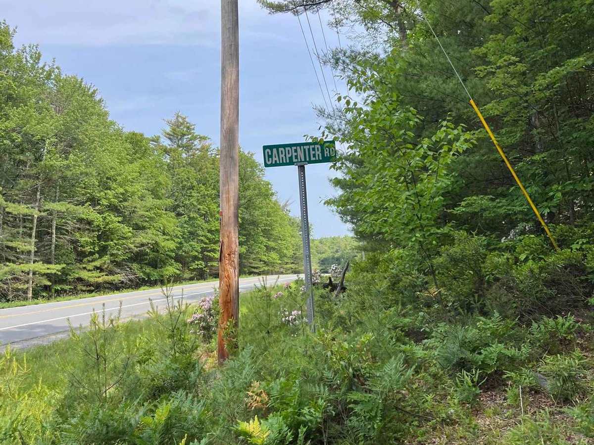 Carpenter Road photo 2