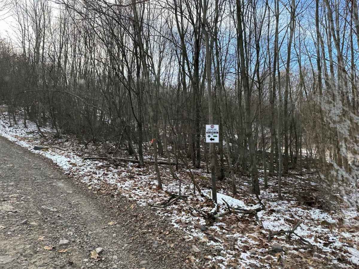Locust Gap 32 photo 2