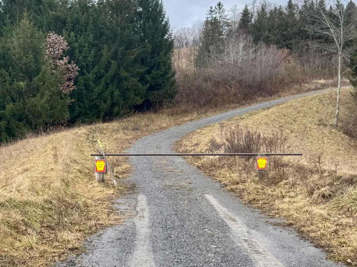 East Slab Run Road photo 5