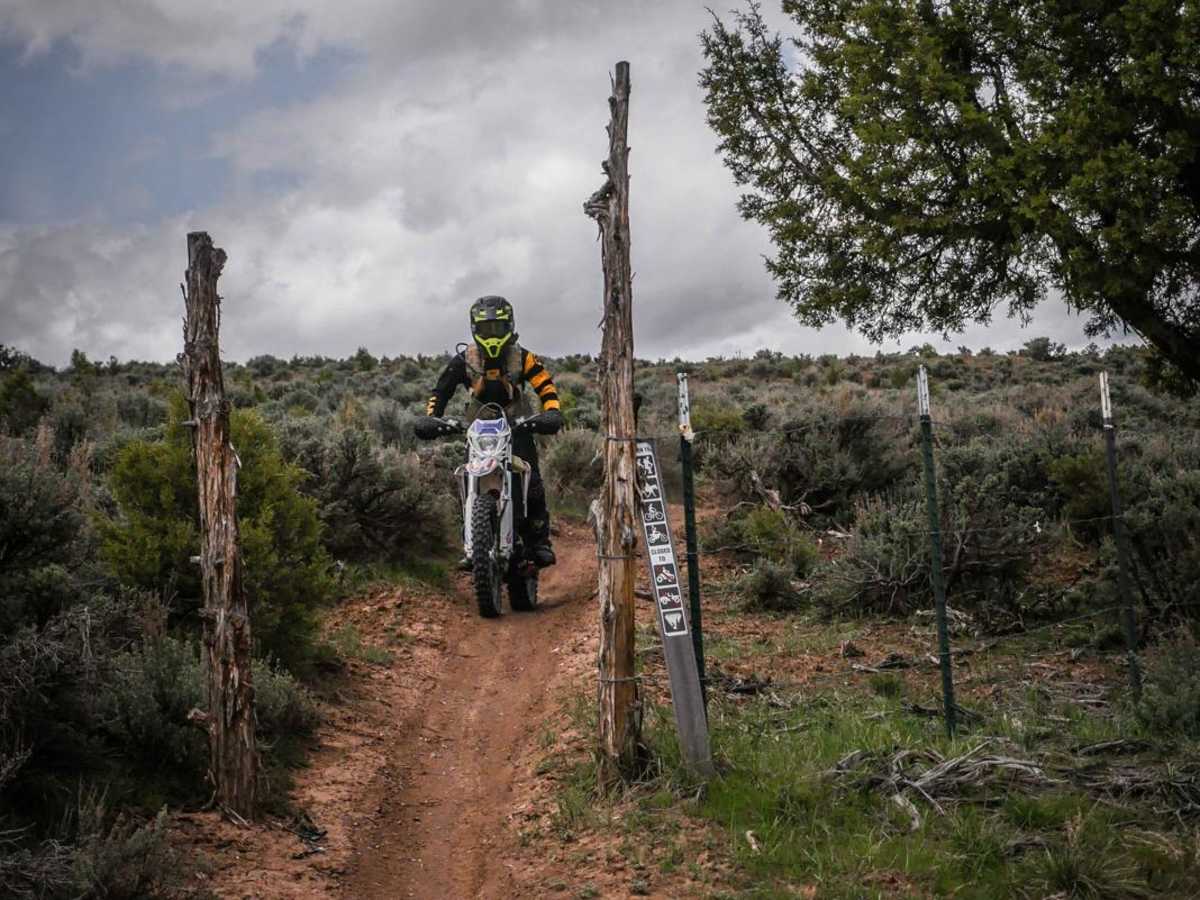 Easy Rider photo 6