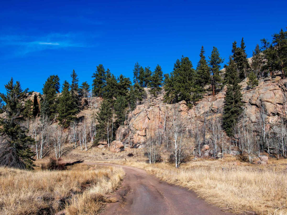 Eleven Mile Canyon Cutoff photo 2