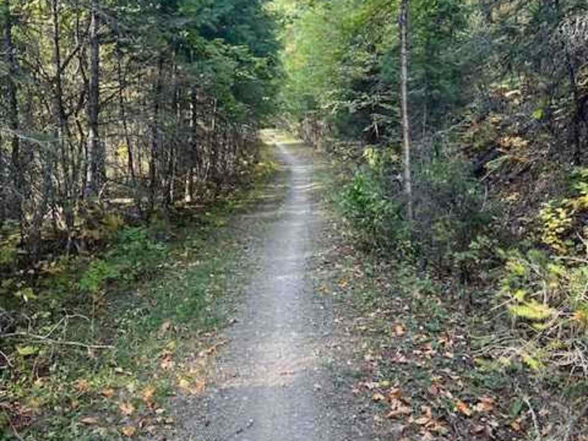 South Fork Hemler Creek photo 2