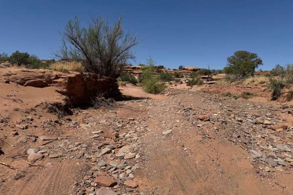Dry Fork Bull Canyon