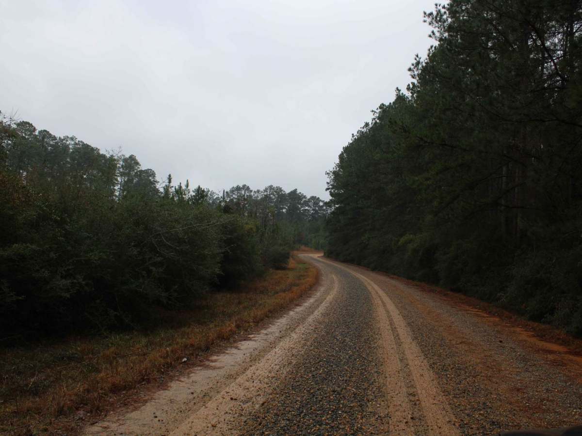 To Yankee Springs Road photo 5