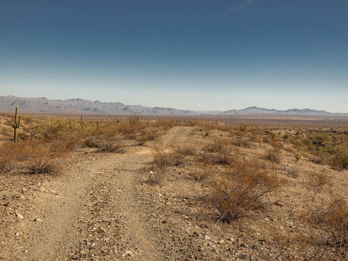Rockridge to Wash - P1346 photo 2
