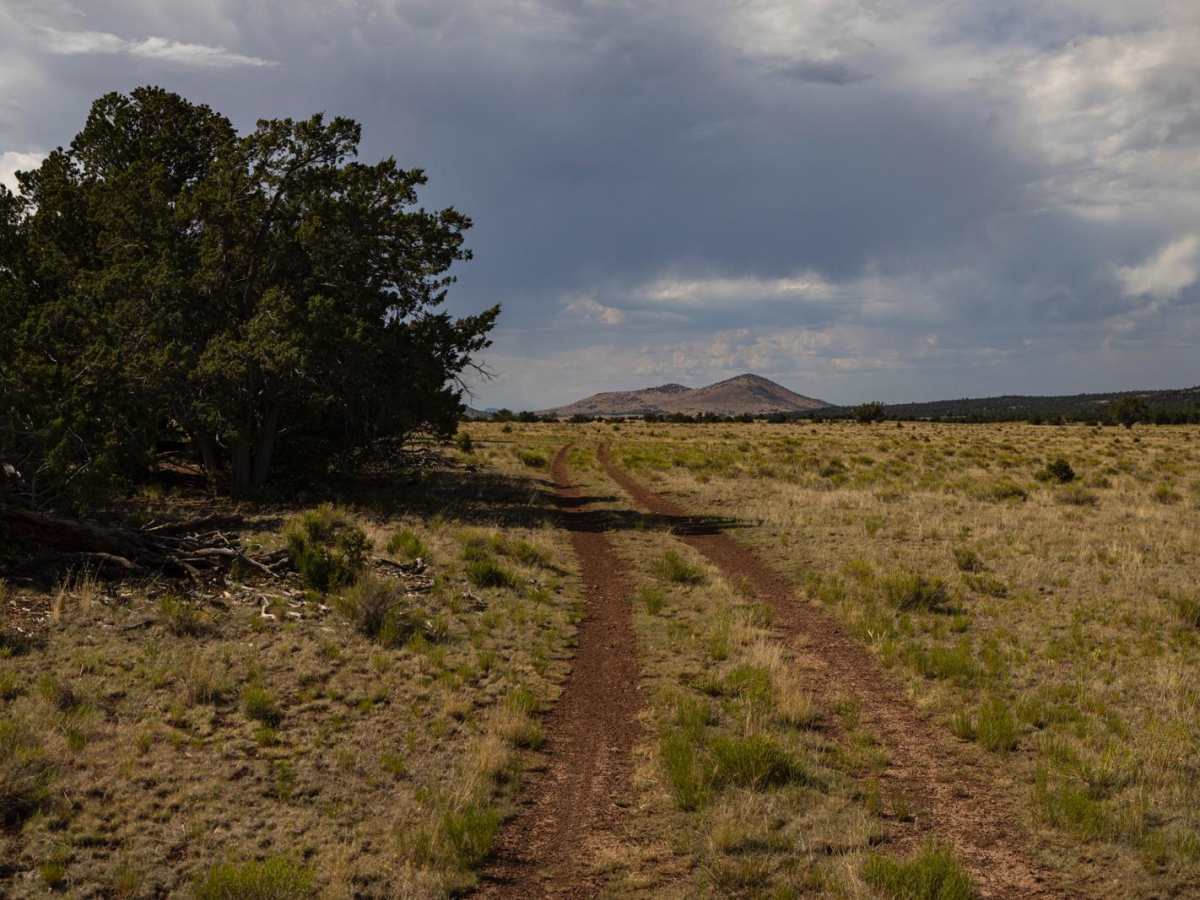 Pasture Waterline photo 6