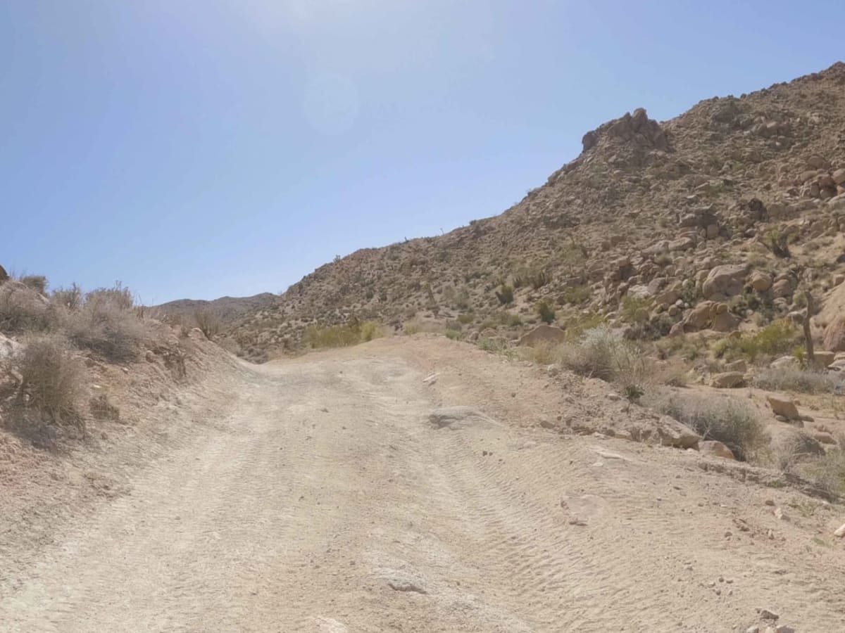 BLM C3429 photo 4