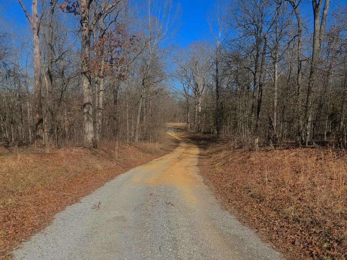 Woodland Road - FS 314 photo 3