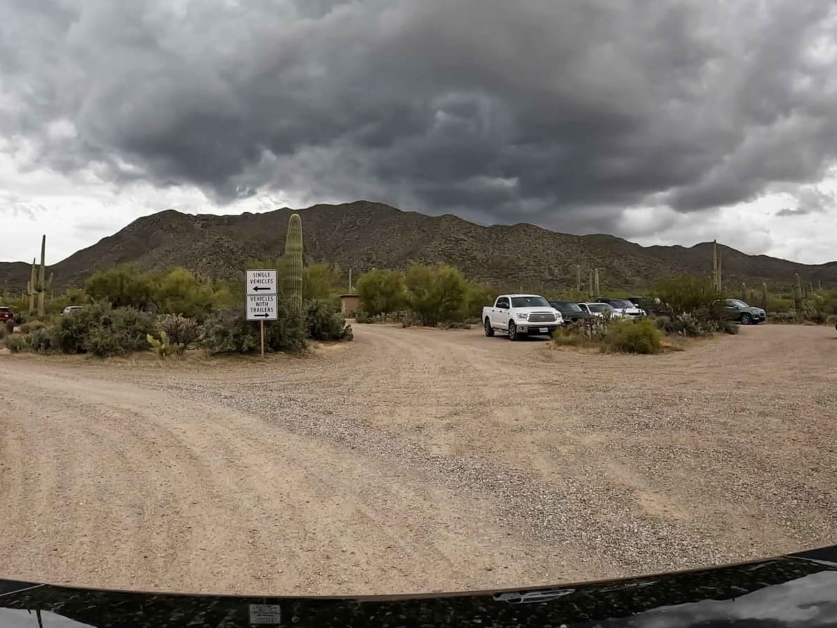 Bajada Loop, Saguaro NP photo 6
