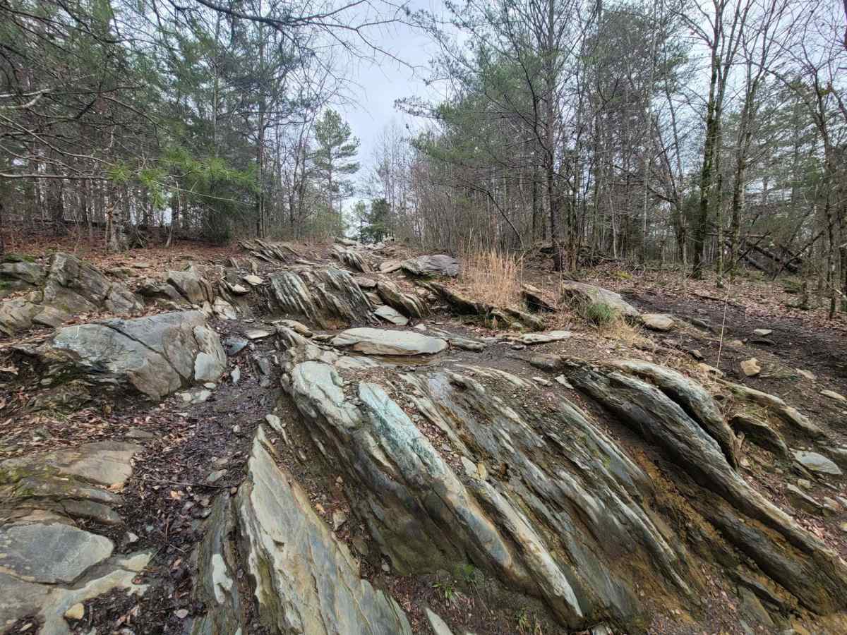 Hornets Nest photo 4