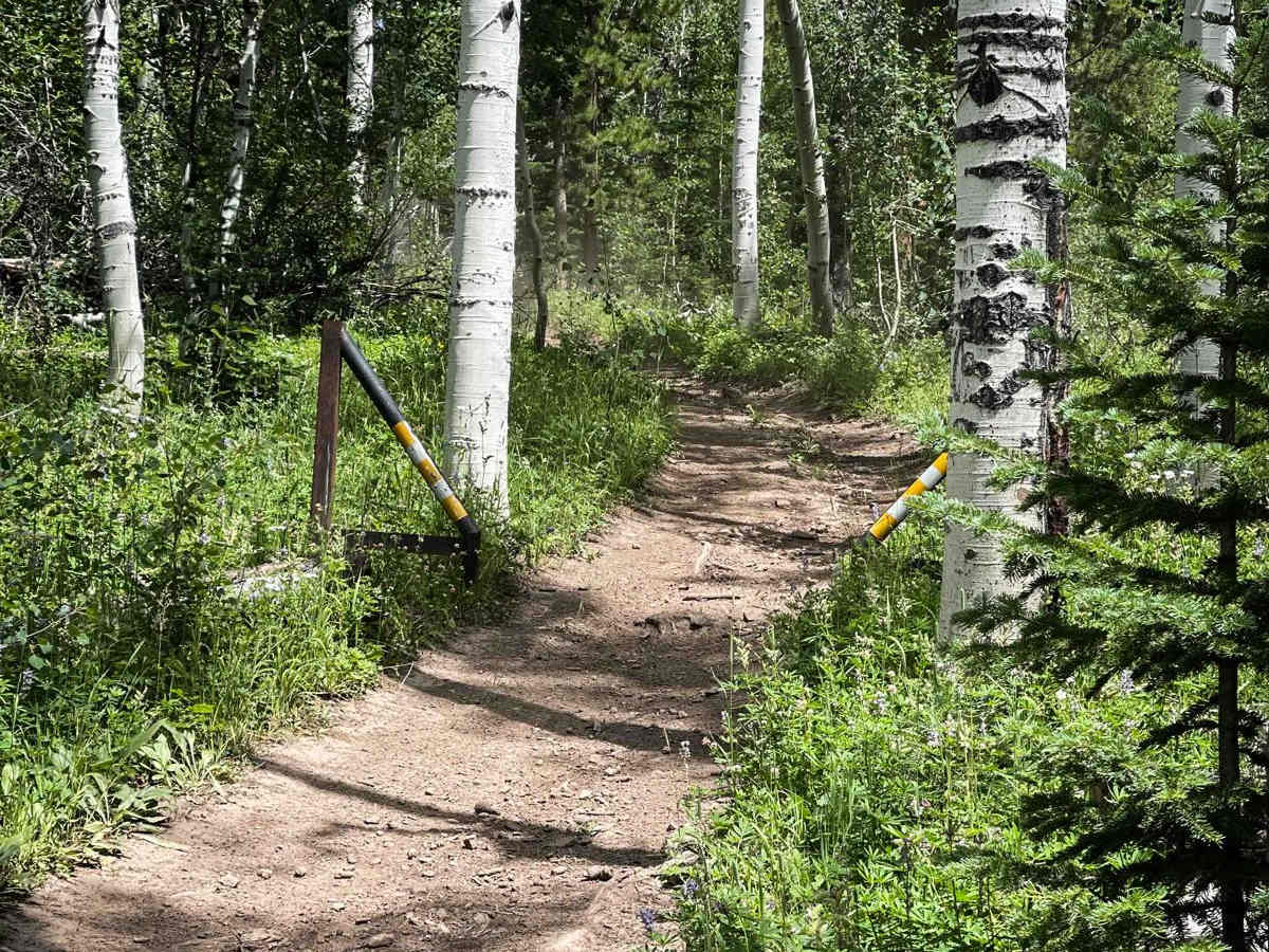 Elkhorn Trail South photo 3