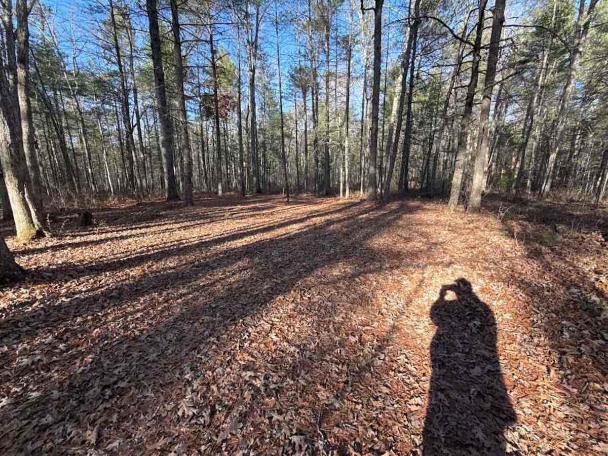 Cold Springs - FR 77 photo 5