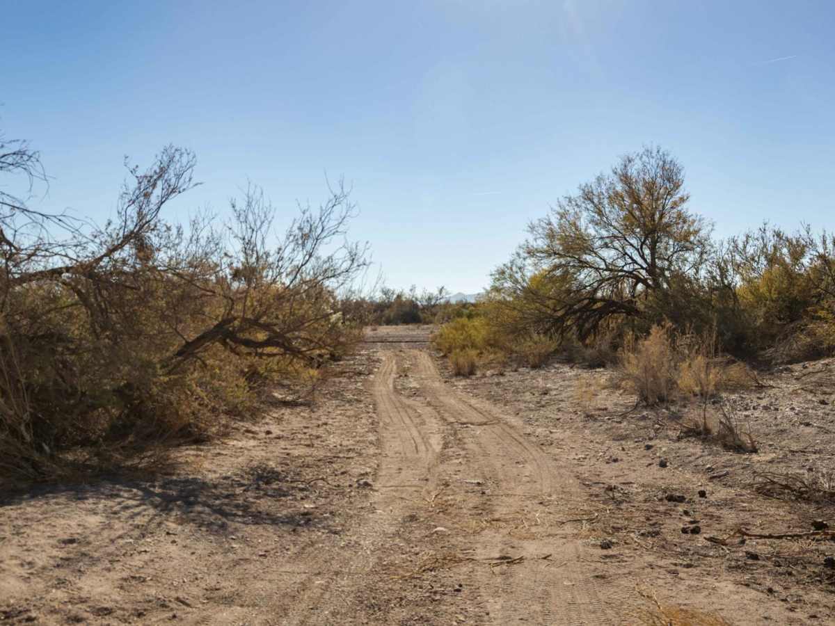 Varied Loop Trail photo 2