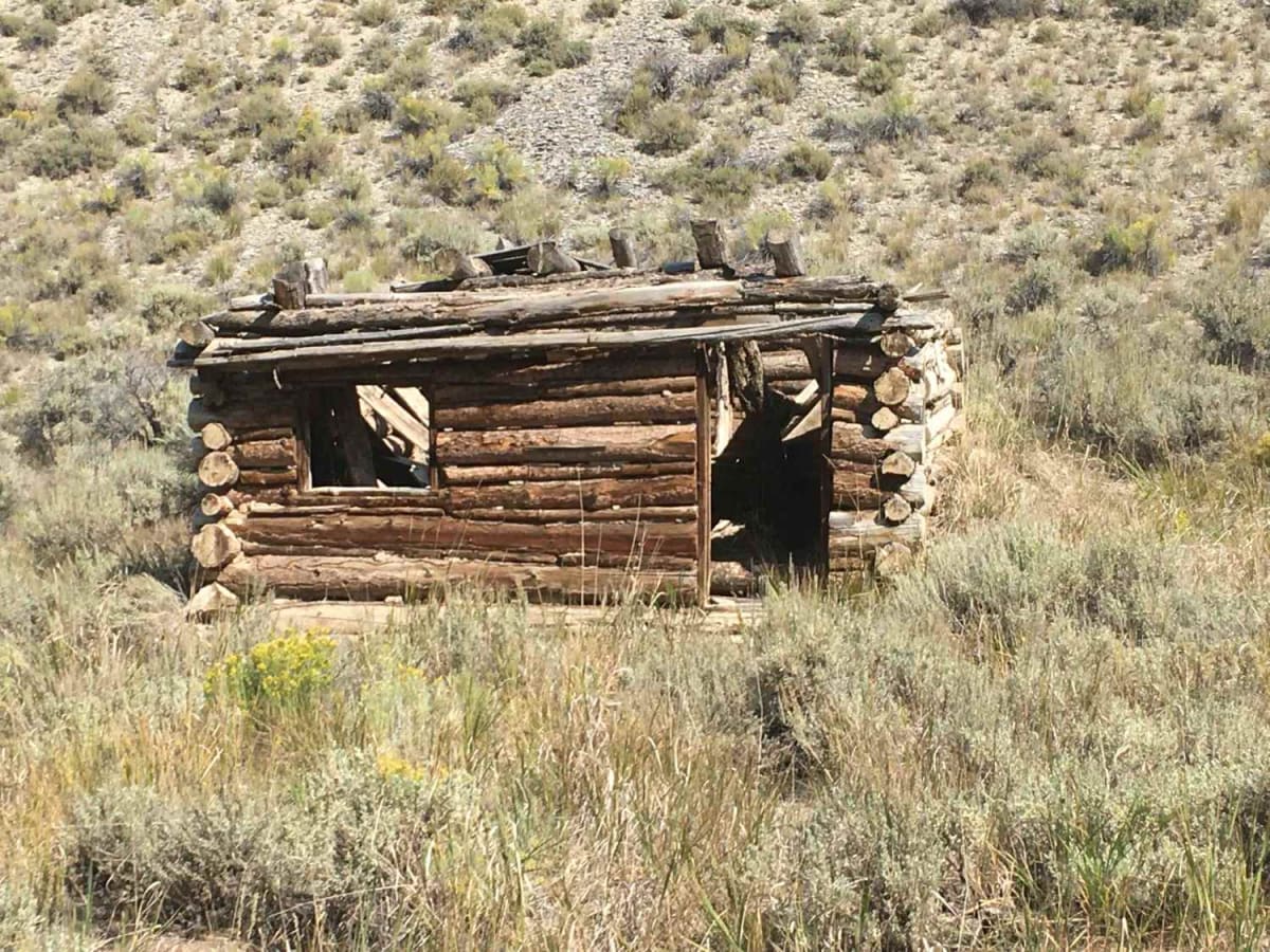 South Fork Worthing trail photo