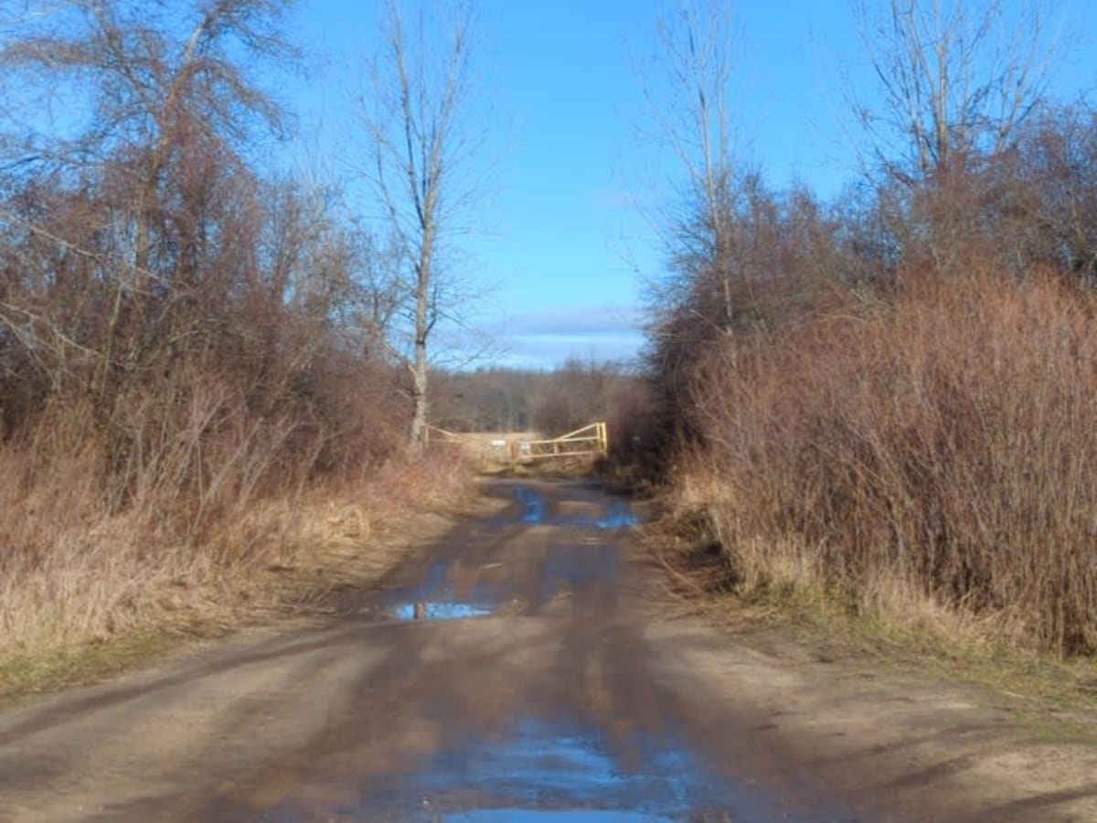Mosquito Creek photo 2