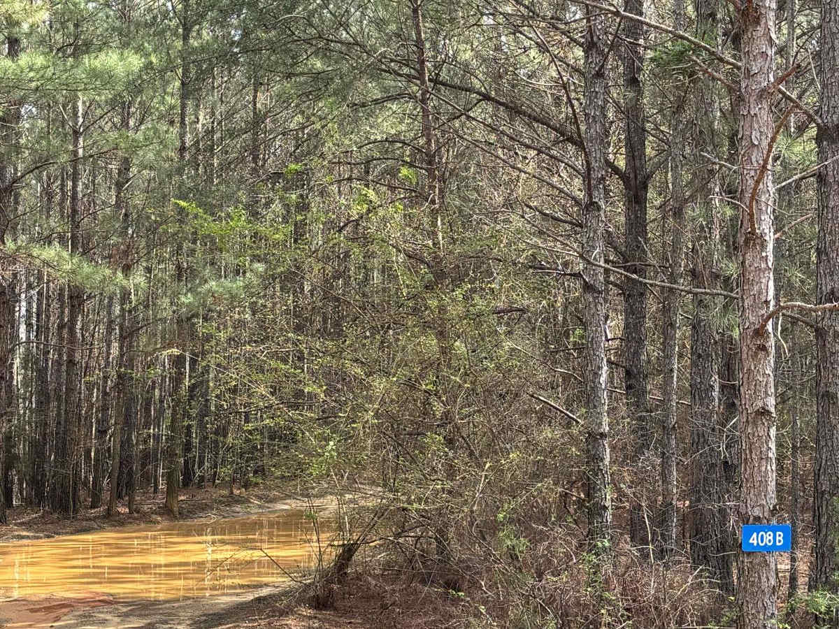 408B trail photo