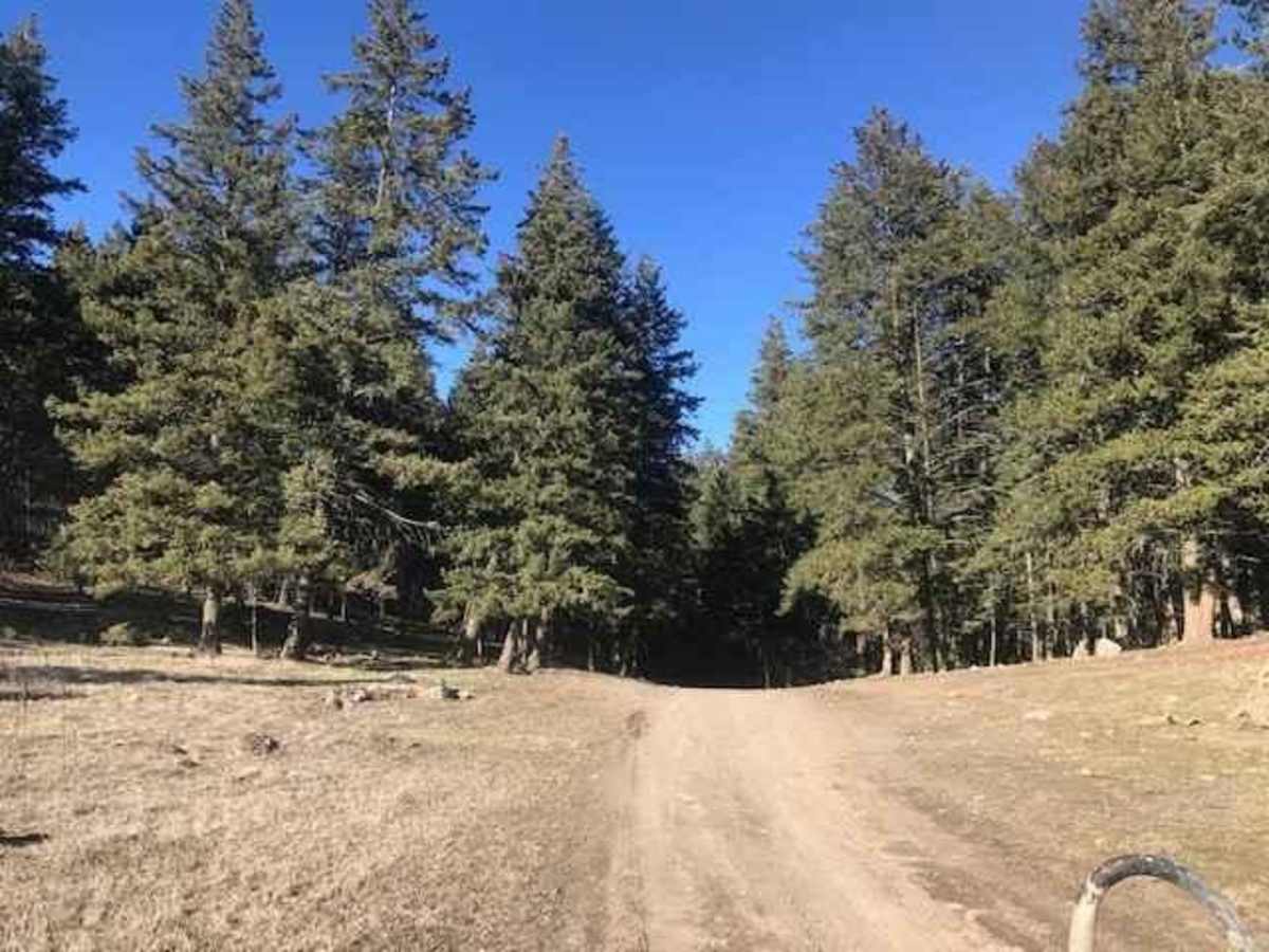 Long Lake Road to McQueen/Isobel Lake Road photo 5