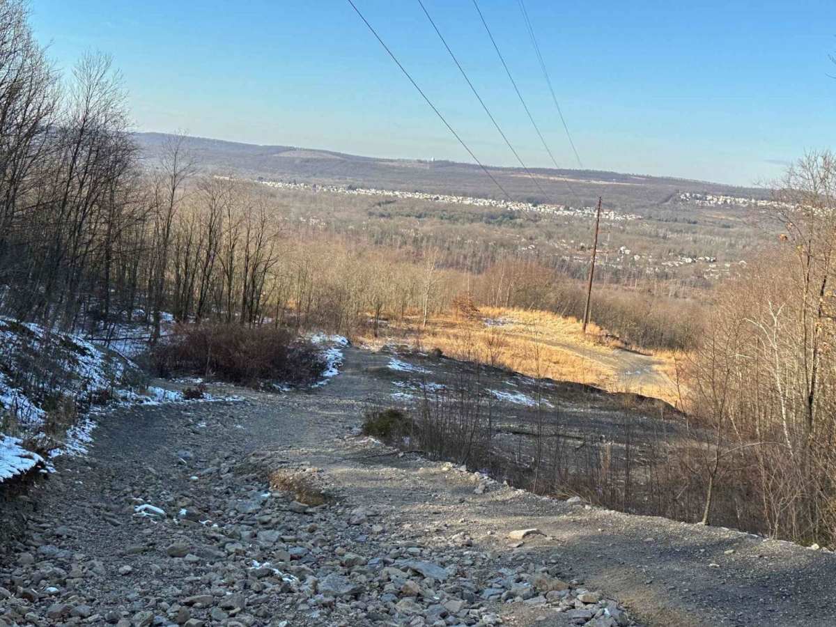 Locust Gap 69 photo 6