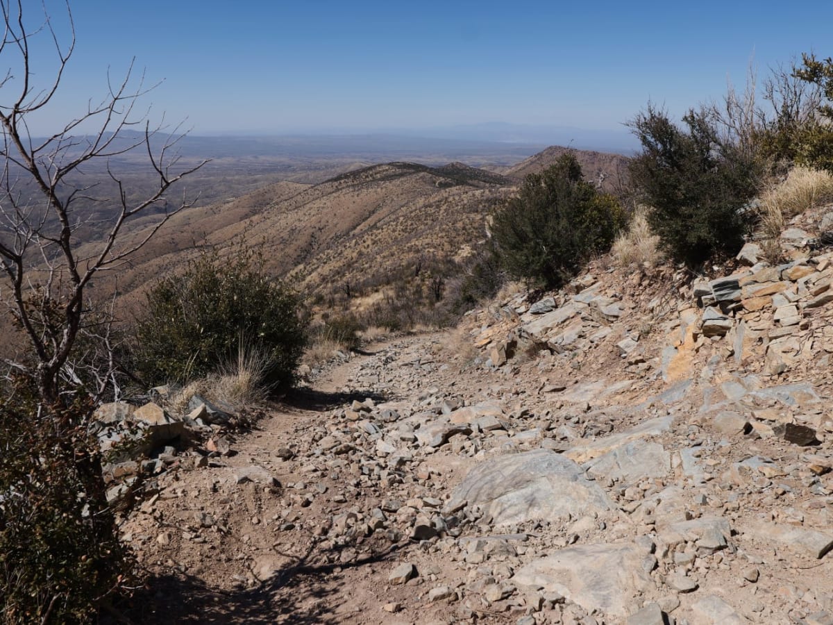 Road to the Summit of Rice Peak photo 2