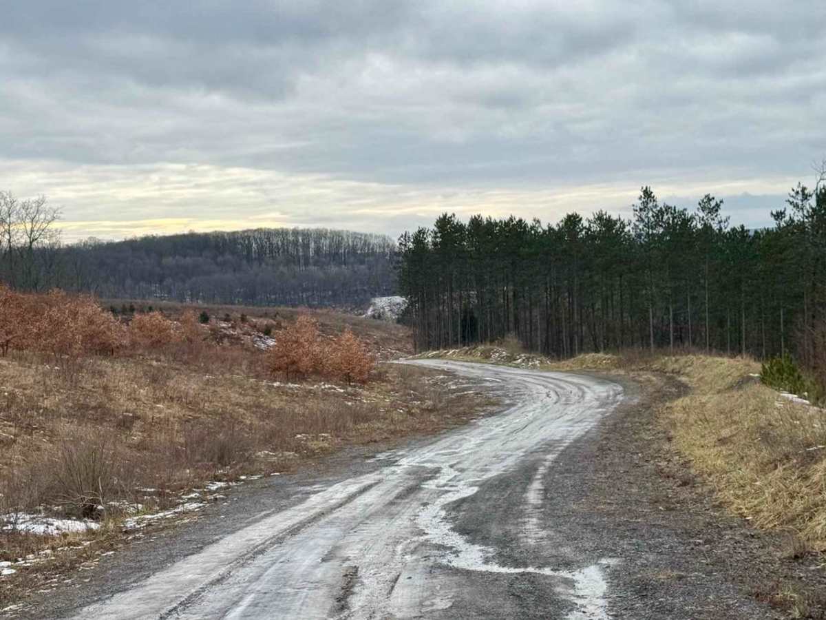 East Slab Run Road photo 2