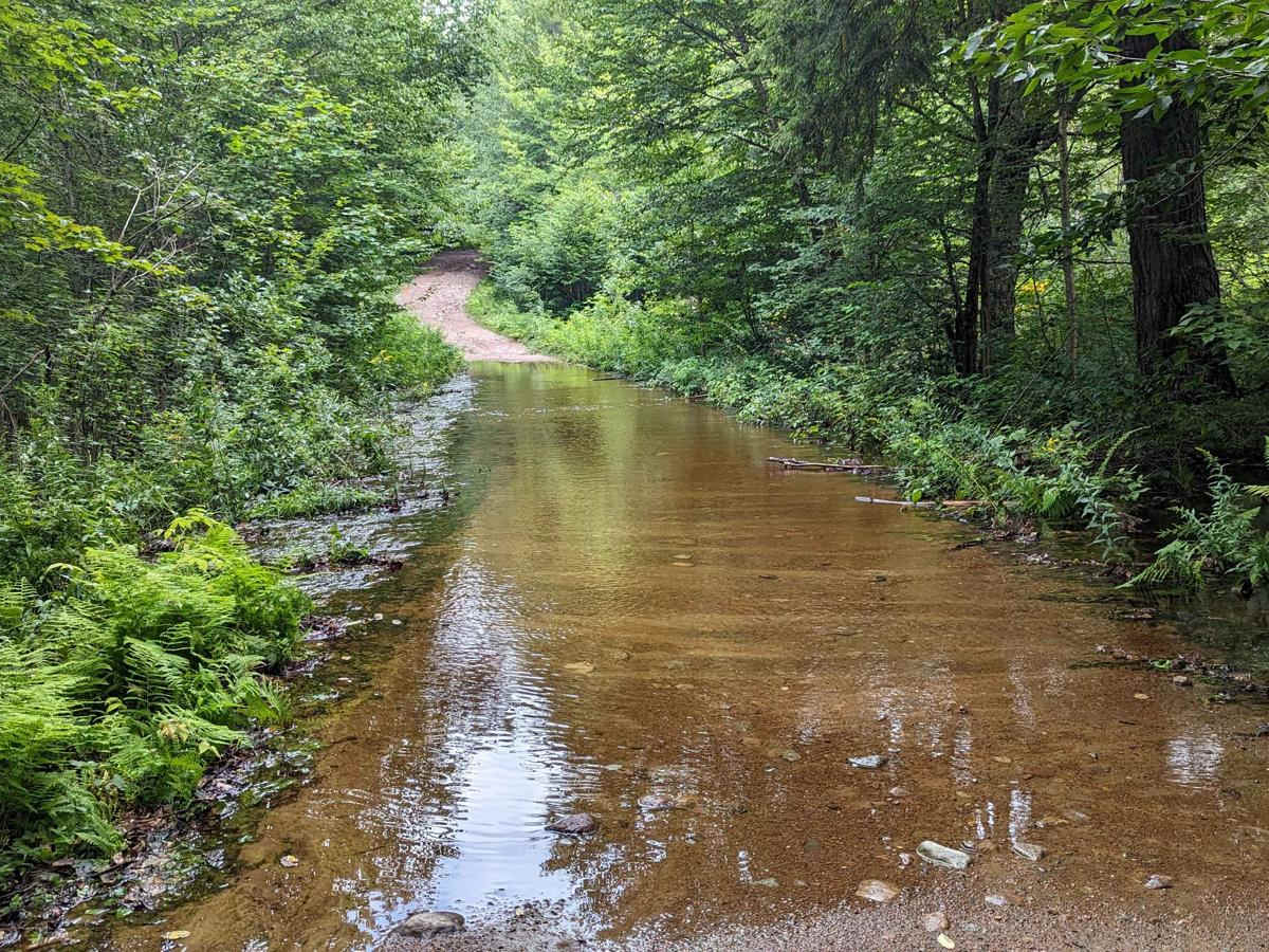 Blue Pond Connector photo 5