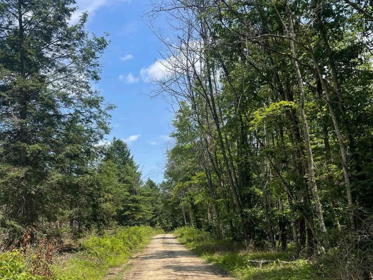 Schwenks Gap Road photo 4