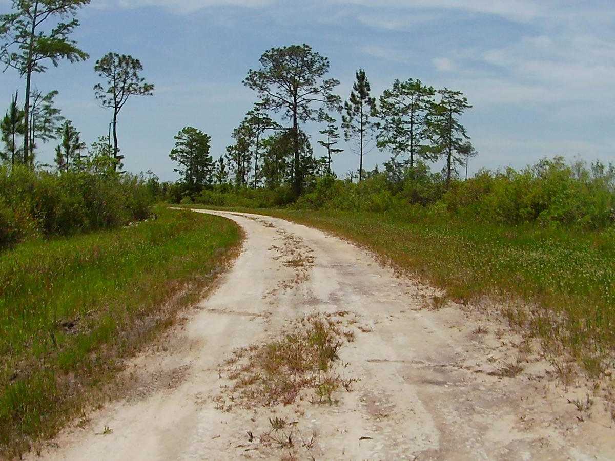 Sandy Road photo 4
