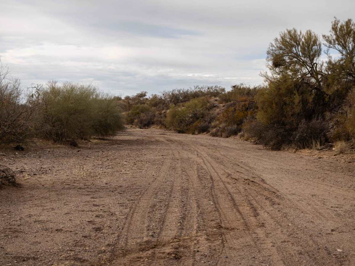 46066 Wash trail photo