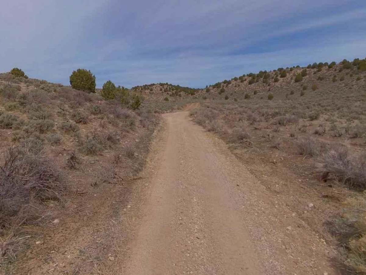 Dixie National Forest-FR31014 photo 4