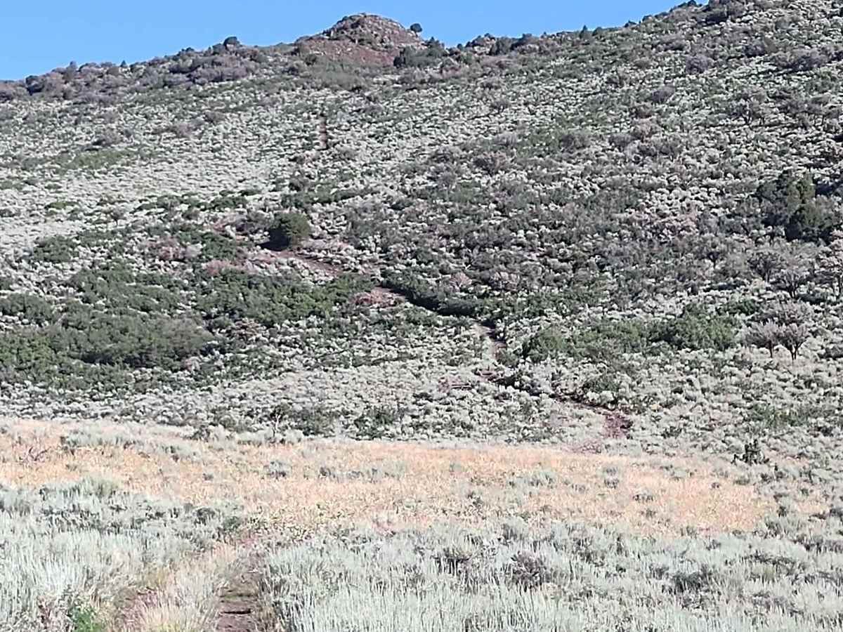 Hillbilly Rock Climb  (FS 4840/R 1375) photo 5