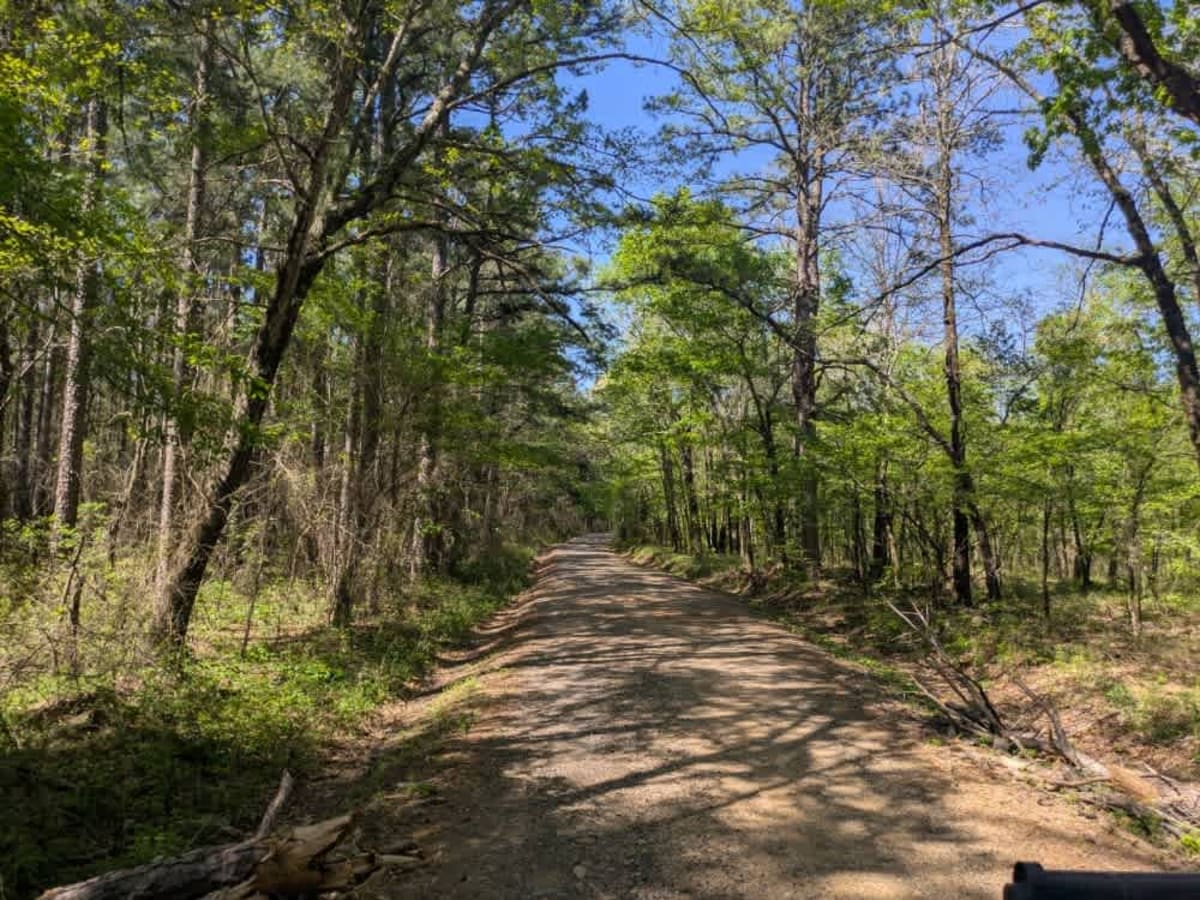 County Road 97 photo 5