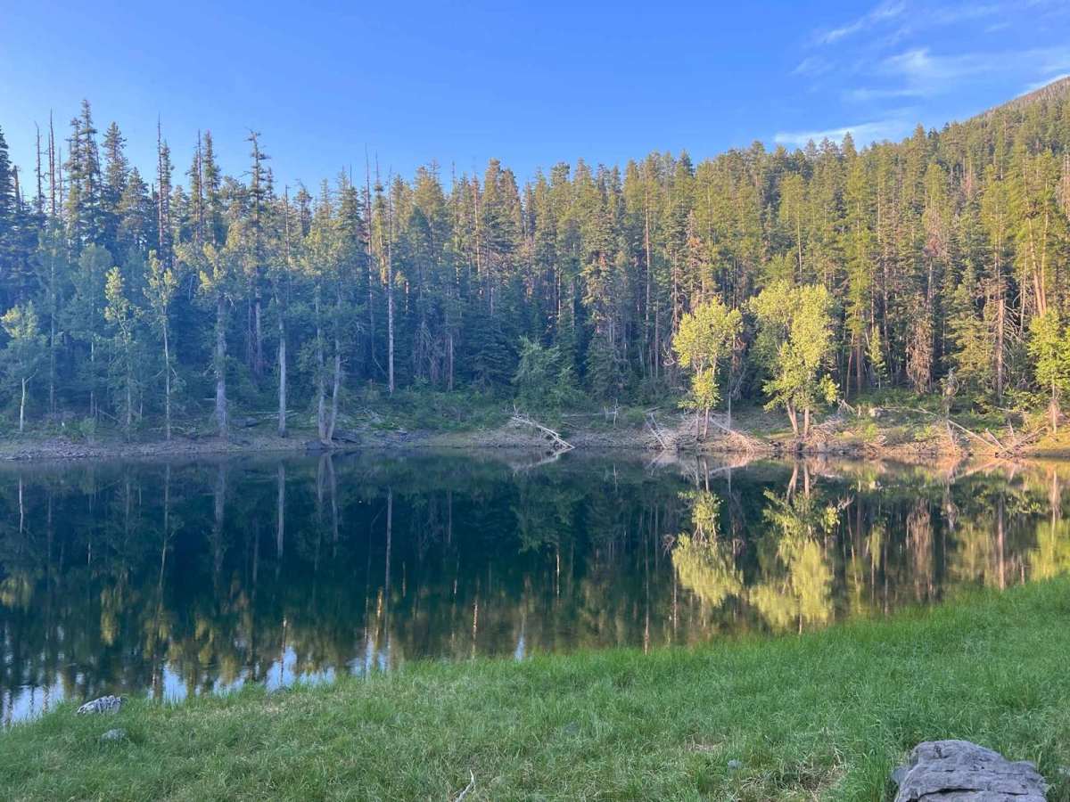 Minesinger to Hidden Lake Pt.1 trail photo