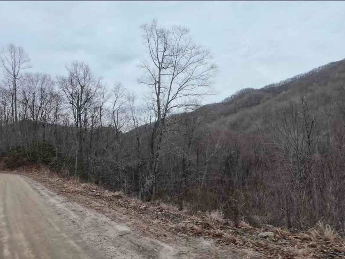 Tuni Gap Road - FS 440 photo 2
