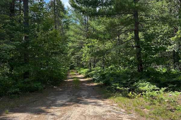 County Road 421 North Spur 