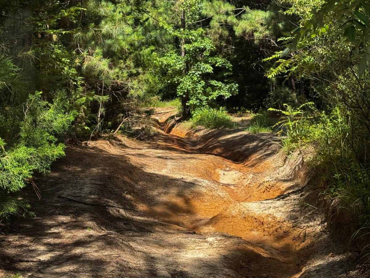 Pipeline Road trail photo