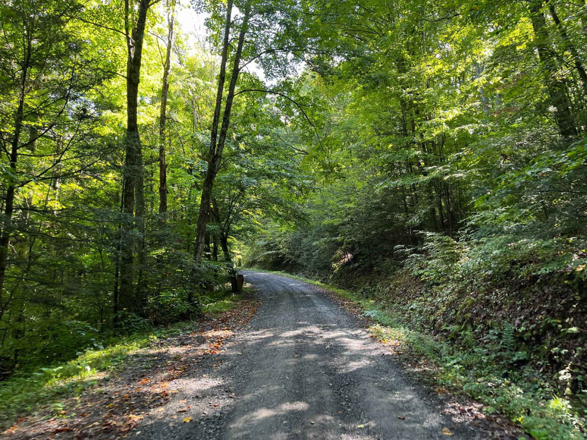 Bull Hill Road photo 6