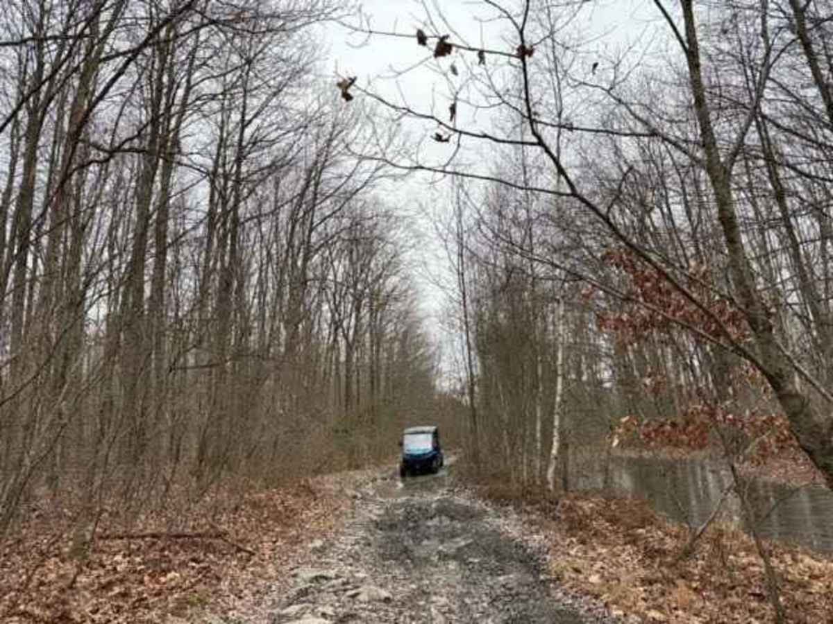 Locust Gap Swamp Dog Trail photo 4